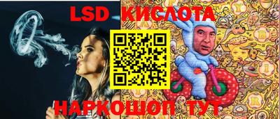 гидропоника Славгород