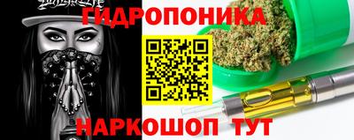 гидропоника Славгород